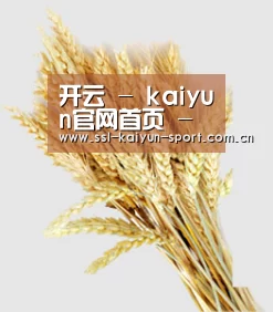 开云 - kaiyun官网首页 - 赛事直播平台